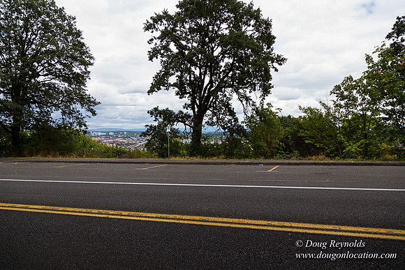 Terwilliger View 3