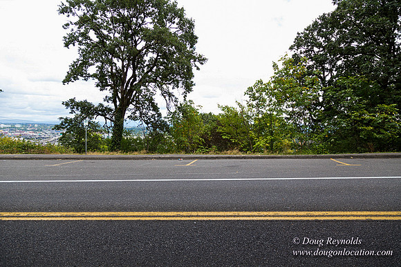 Terwilliger View 3