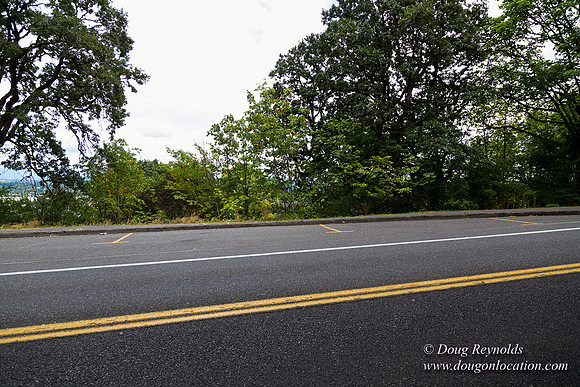 Terwilliger View 3