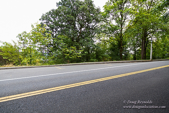 Terwilliger View 3