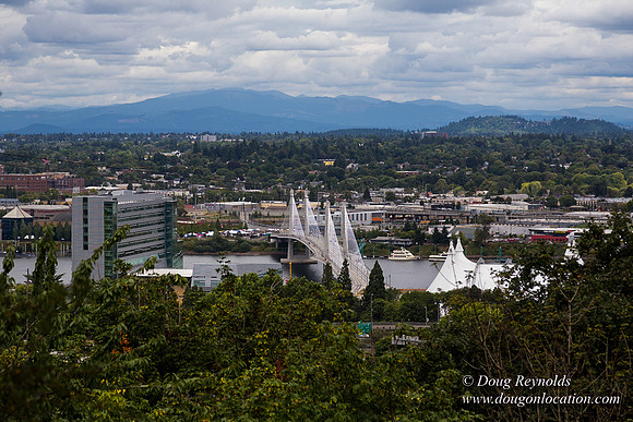 Terwilliger View 3