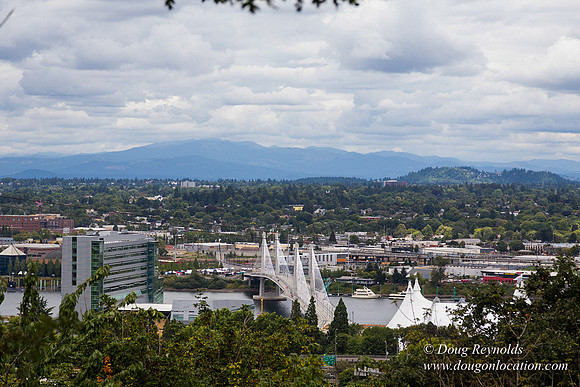 Terwilliger View 3