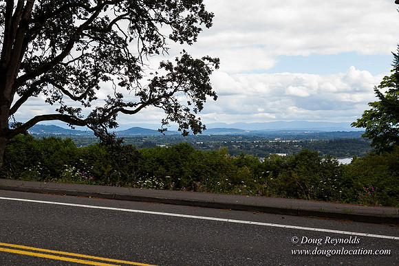 Terwilliger View 4
