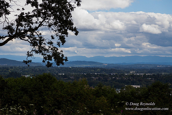 Terwilliger View 4