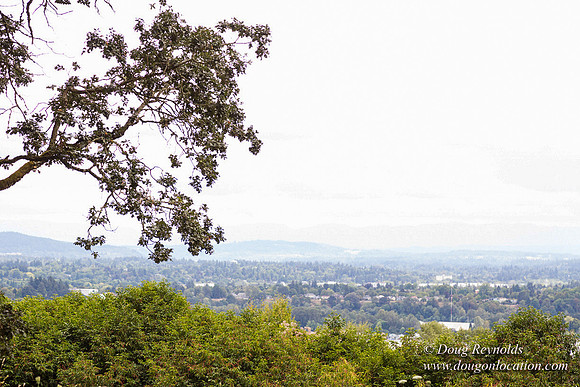 Terwilliger View 4