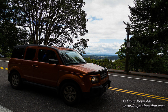 Terwilliger View 4