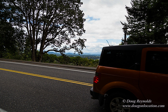 Terwilliger View 4