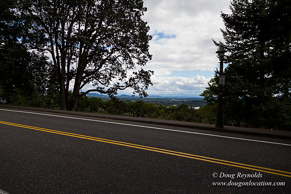 Terwilliger View 4