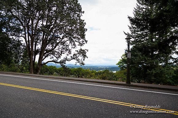 Terwilliger View 4