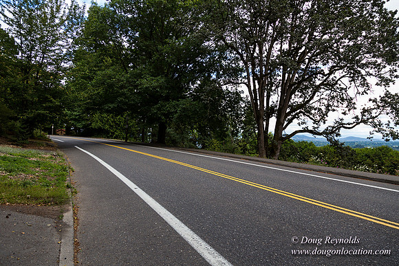 Terwilliger View 4