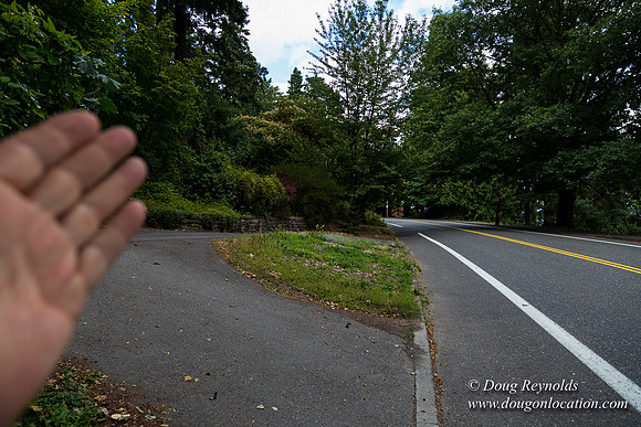 Terwilliger View 4
