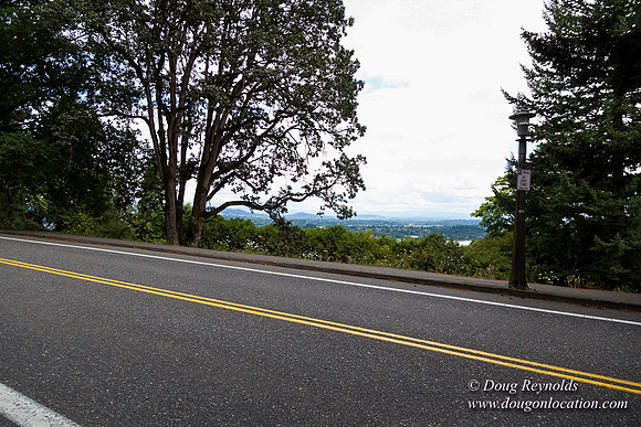 Terwilliger View 4
