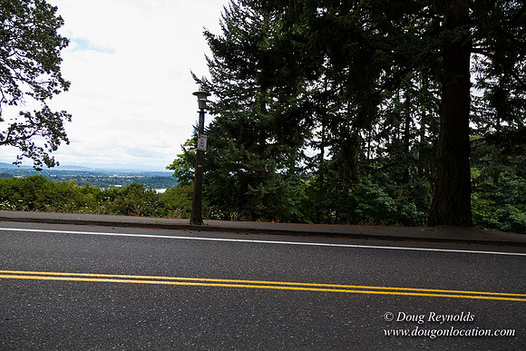 Terwilliger View 4
