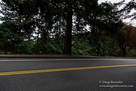 Terwilliger View 4