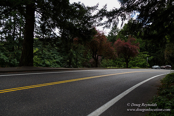 Terwilliger View 4