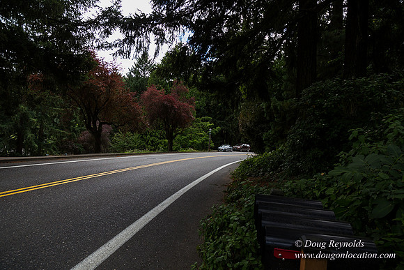 Terwilliger View 4