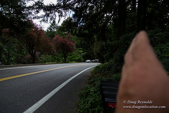 Terwilliger View 4