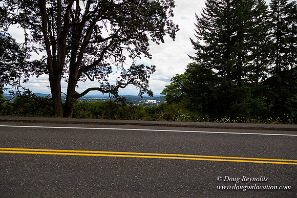Terwilliger View 4
