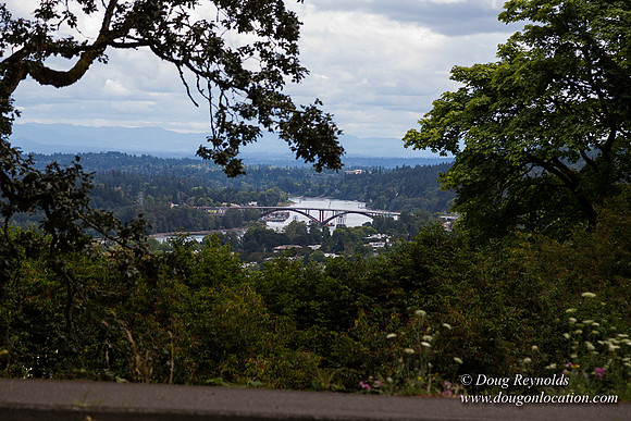 Terwilliger View 4