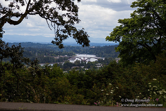 Terwilliger View 4
