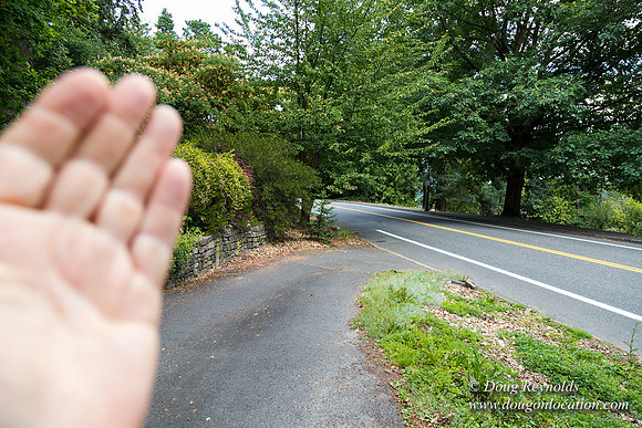 Terwilliger View 4