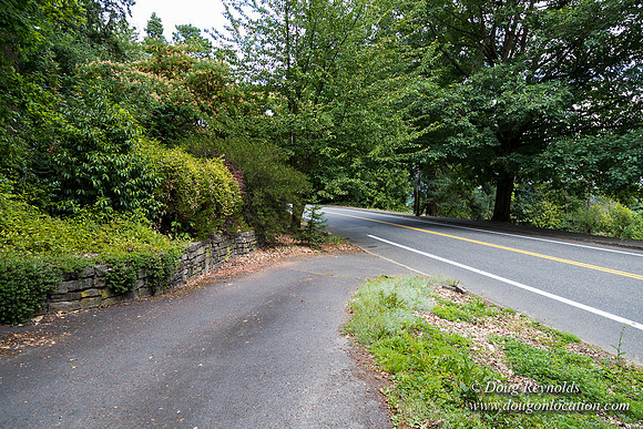 Terwilliger View 4