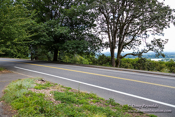Terwilliger View 4