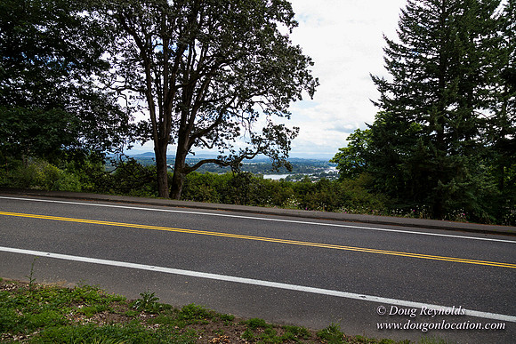 Terwilliger View 4