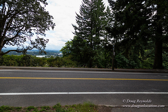Terwilliger View 4