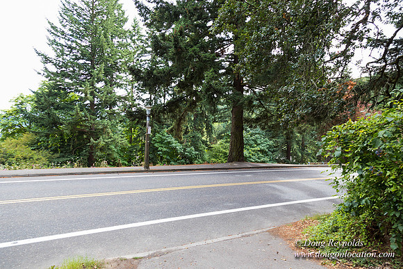 Terwilliger View 4
