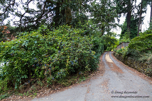 Terwilliger View 4