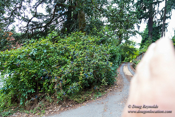 Terwilliger View 4