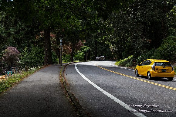 Terwilliger View 4