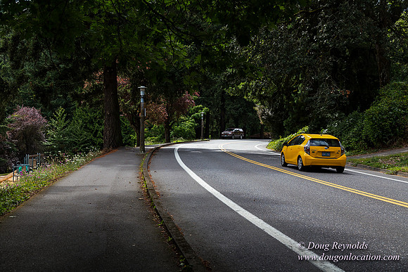 Terwilliger View 4