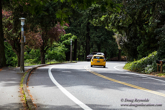 Terwilliger View 4