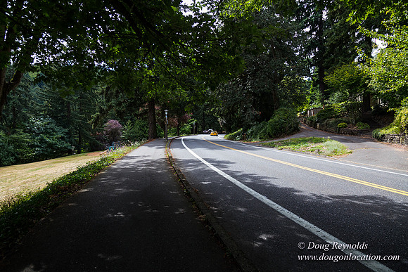 Terwilliger View 4