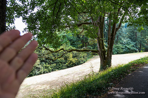 Terwilliger View 4