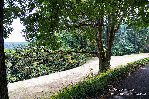 Terwilliger View 4