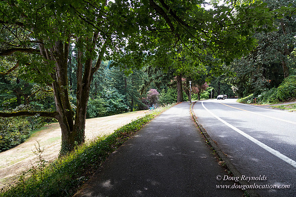 Terwilliger View 4