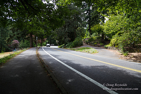 Terwilliger View 4