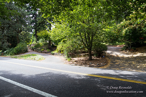 Terwilliger View 4