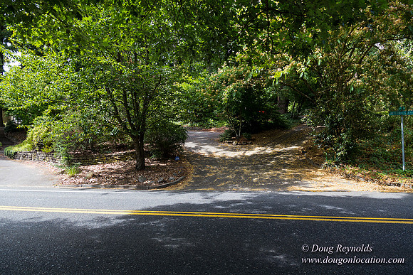 Terwilliger View 4