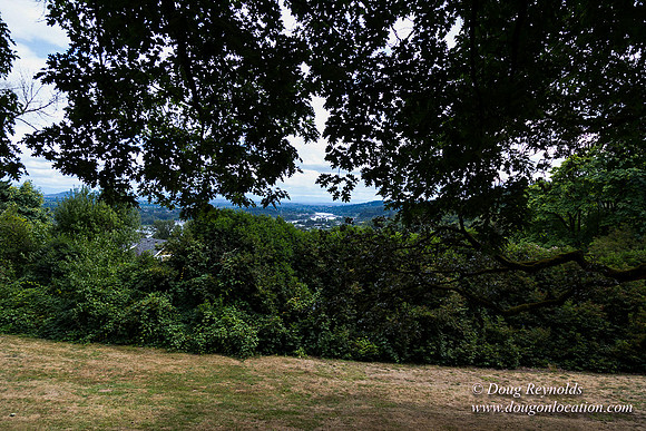 Terwilliger View 4