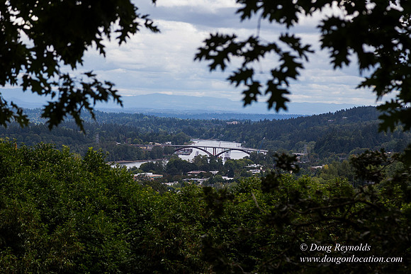 Terwilliger View 4