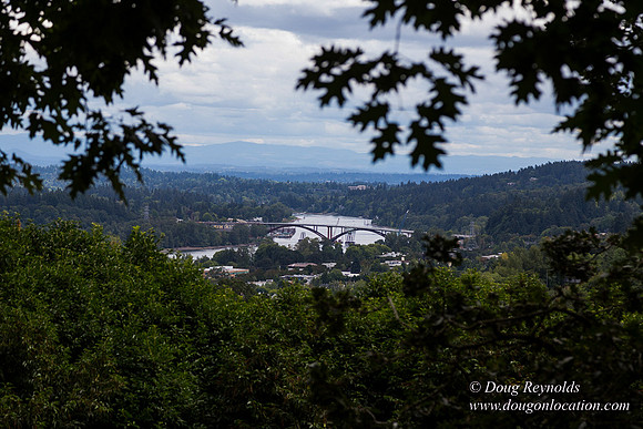 Terwilliger View 4