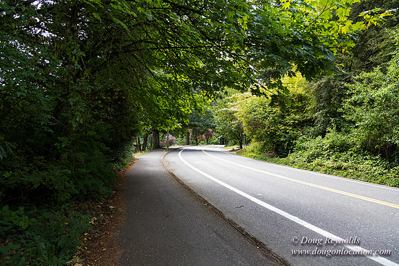 Terwilliger View 4