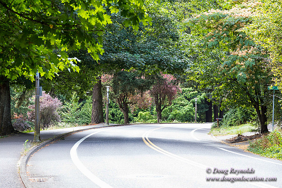 Terwilliger View 4
