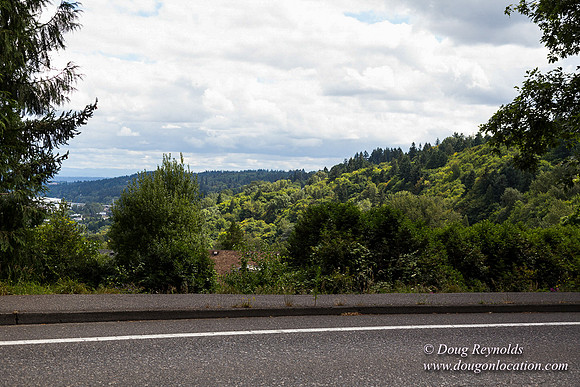 Terwilliger View 4