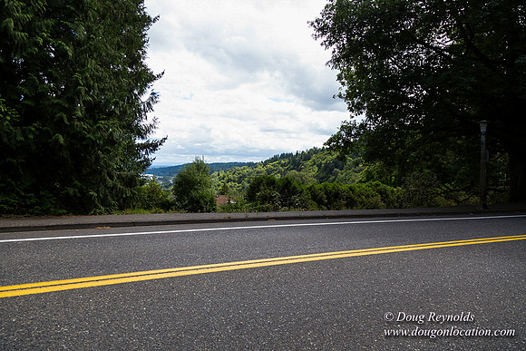 Terwilliger View 4