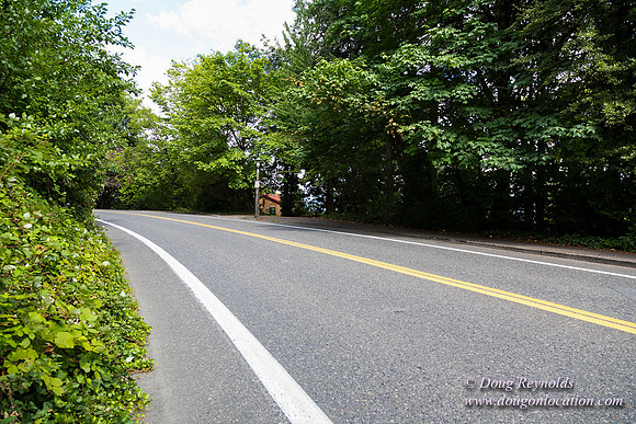 Terwilliger View 4